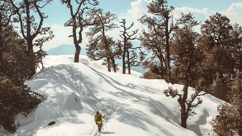 Brahmatal- Trek 1000x562