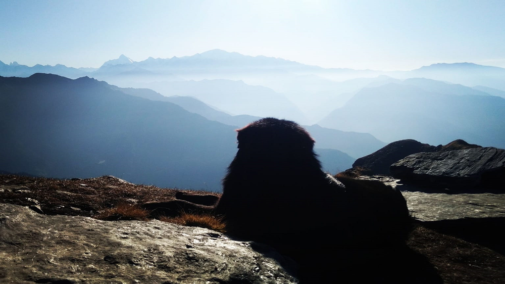 Chandrashila chopta 1000x562