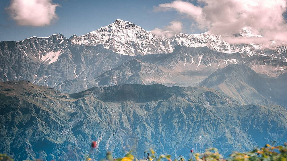 Gulabi Kantha 1000x562