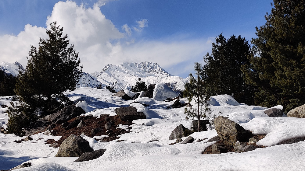 Harshil Sattal 1000x562