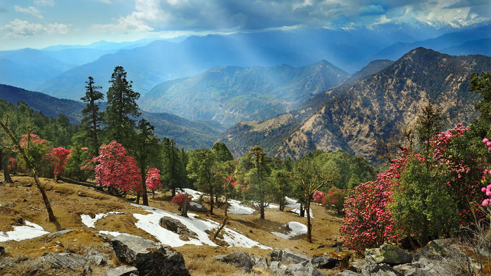 Nag tibba trek-1000x562