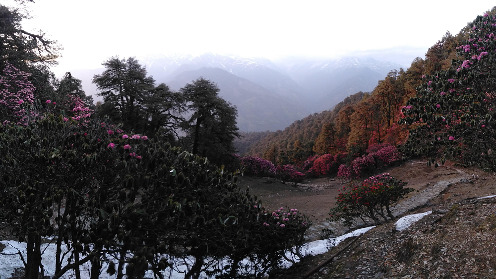 Pindari-Glacier-_1000x562