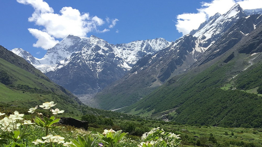 Valley_of_Flowers - 1000x562